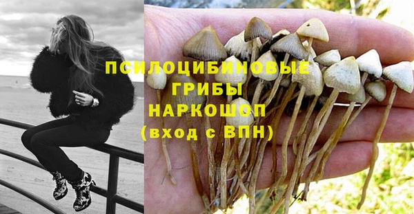 прущая мука Алексеевка