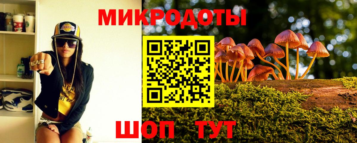 Галлюциногенные грибы Cubensis Белгород