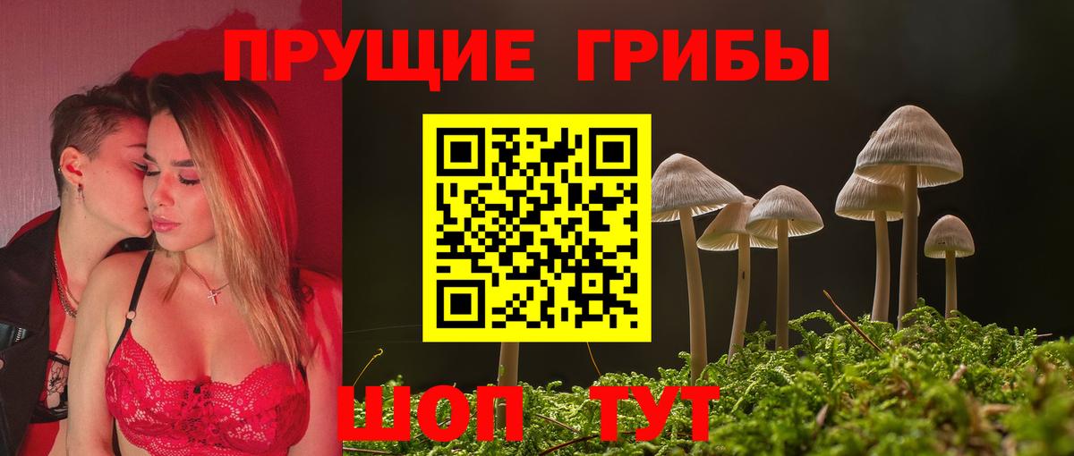 Белгород  Псилоцибиновые грибы Psilocybe  Вход с VPN 
